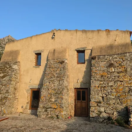 Maison Dans Une Oliveraie * Feliceto