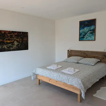 Maison Dans Une Oliveraie *