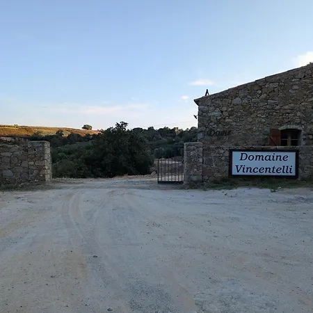 Maison Dans Une Oliveraie *